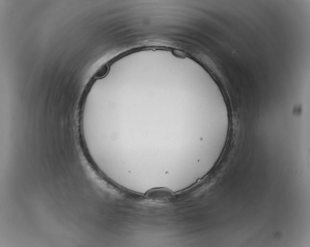 X0000112801133200909181530