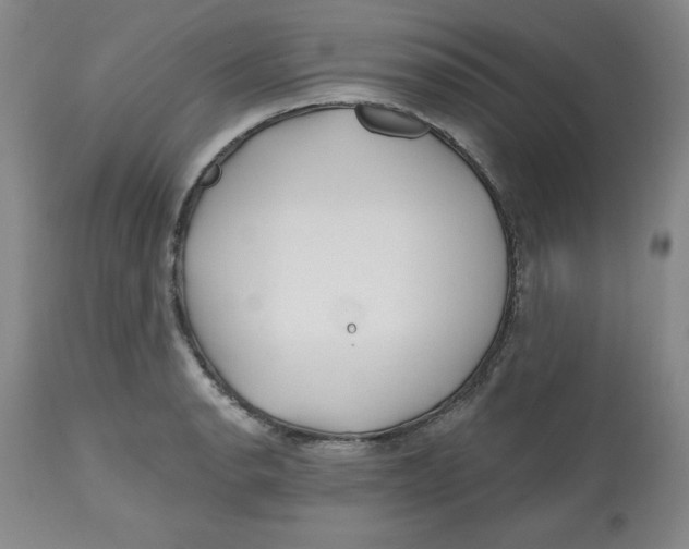 X0000112801134200909181530