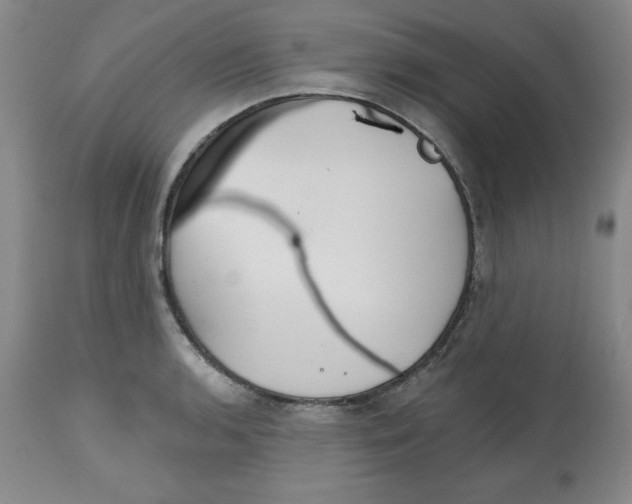 X0000112801136200909181530