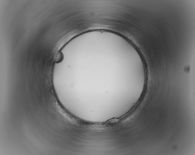 X0000112801137200909181530