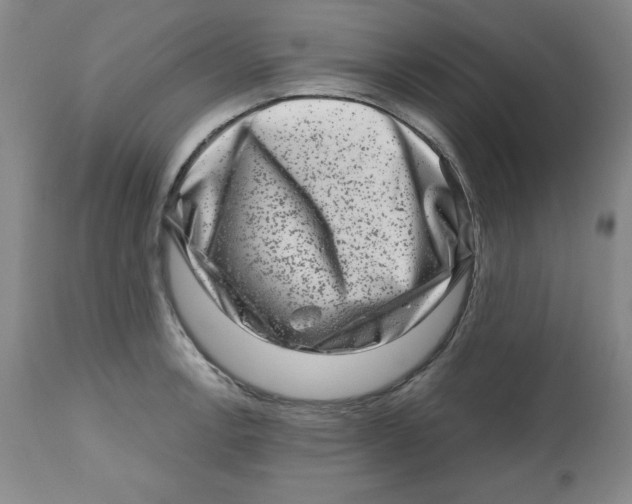 X0000112801138200909181530