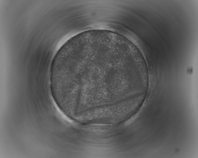 X0000112801141200909181530