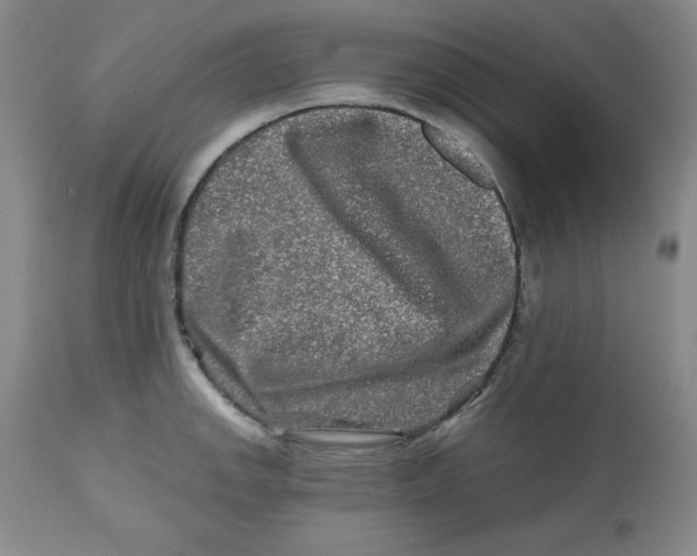 X0000112801142200909181530