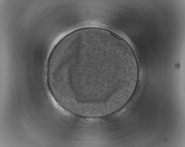 X0000112801144200909181530