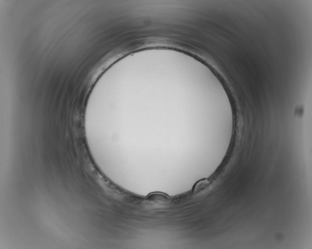 X0000112801145200909181530