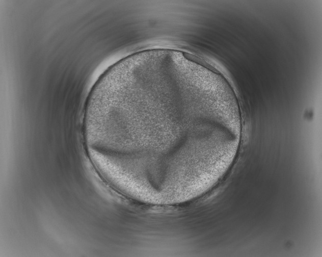 X0000112801146200909181530