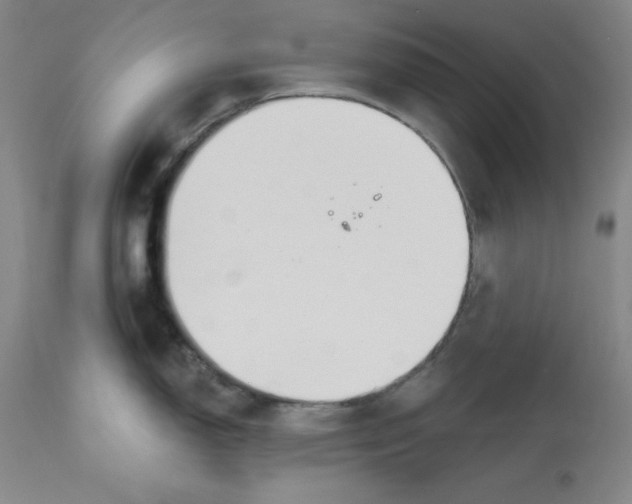 X0000112801150200909181531