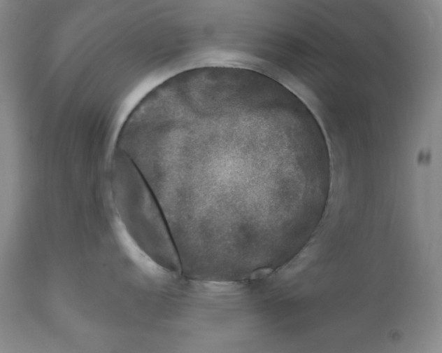 X0000112801152200909181531