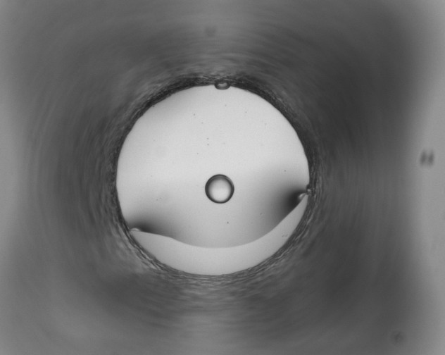 X0000112801153200909181530