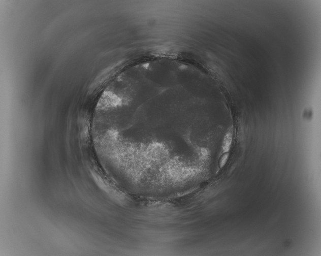 X0000112801154200909181530