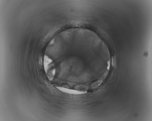 X0000112801155200909181530