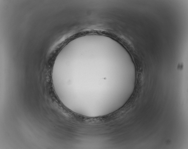 X0000112801159200909181530