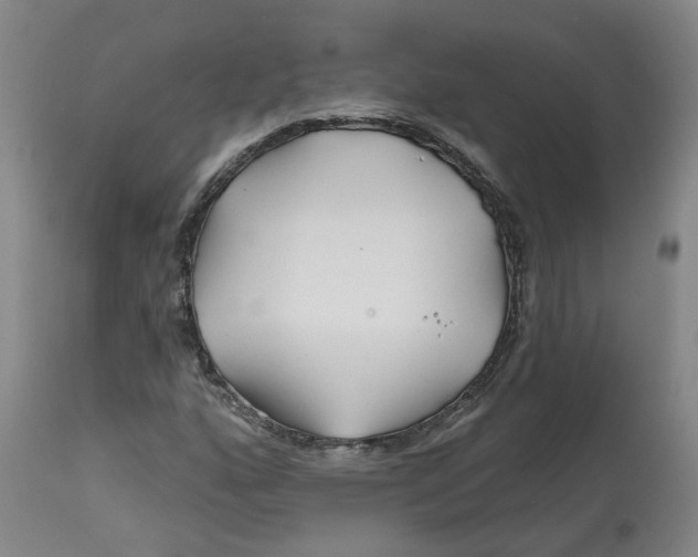 X0000112801160200909181530
