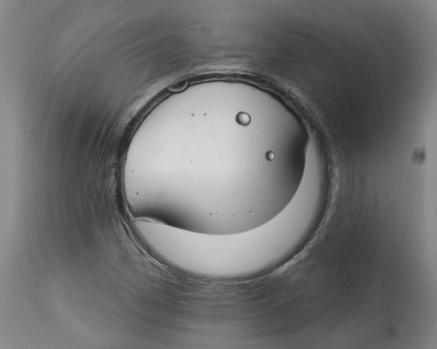 X0000112801162200909181530