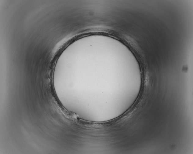 X0000112801164200909181530