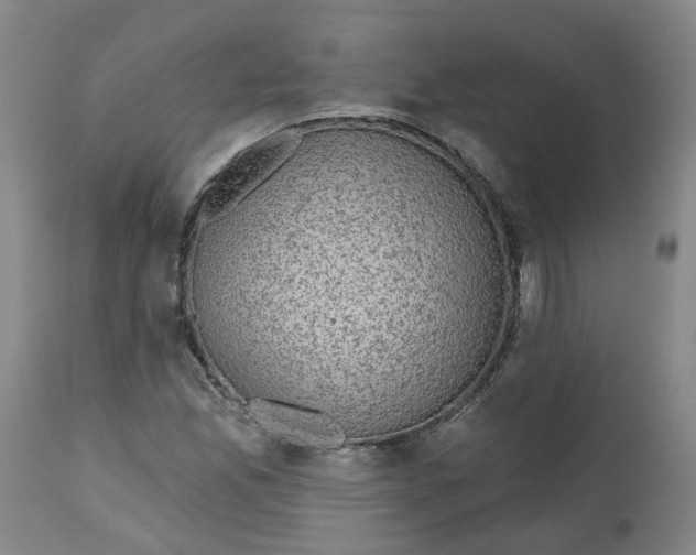 X0000112801165200909181530