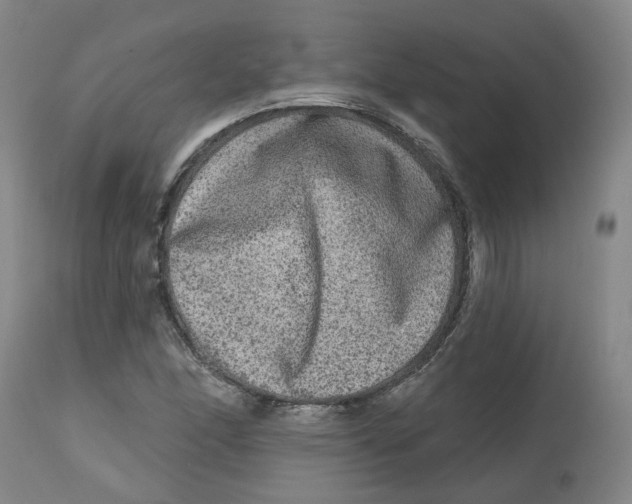 X0000112801166200909181530