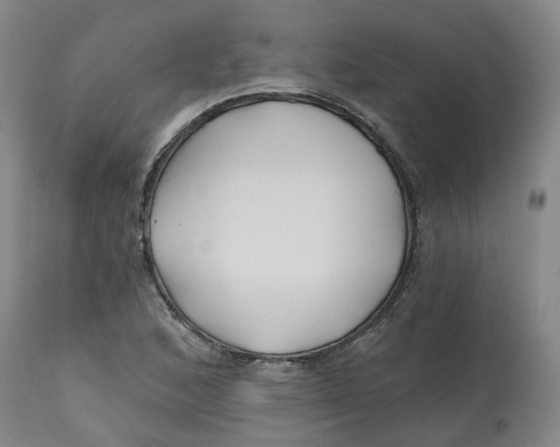 X0000112801168200909181529