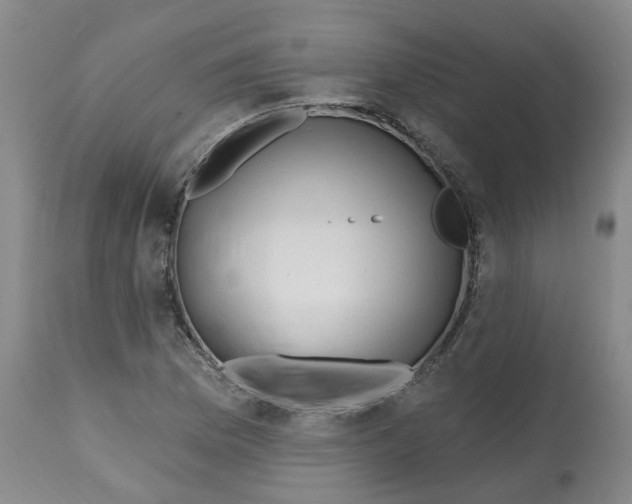 X0000112801169200909181529