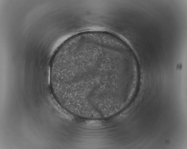 X0000112801171200909181529