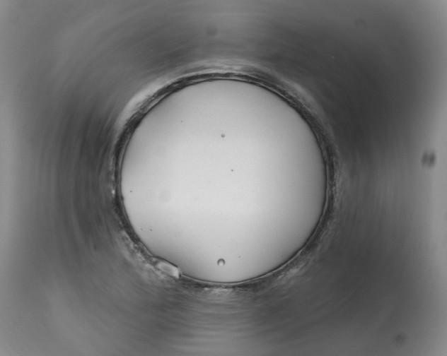 X0000112801172200909181529