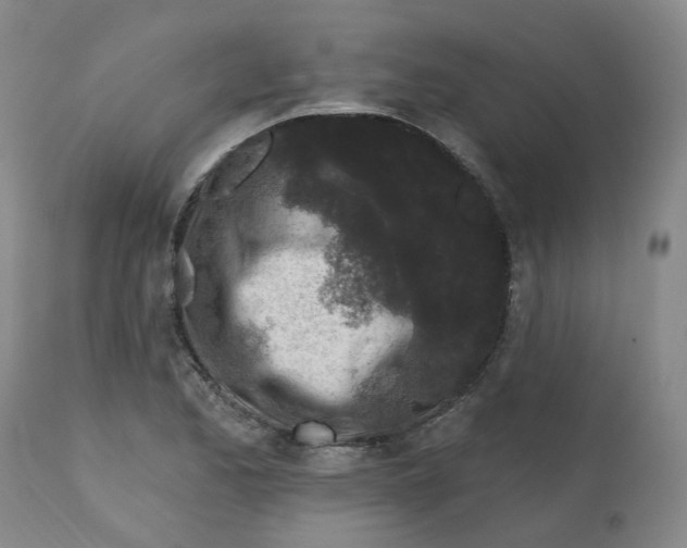 X0000112801173200909181529