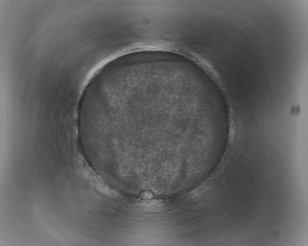 X0000112801174200909181529