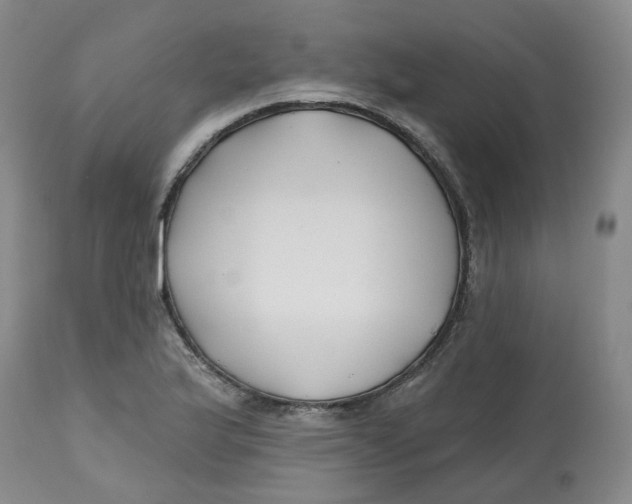 X0000112801175200909181529