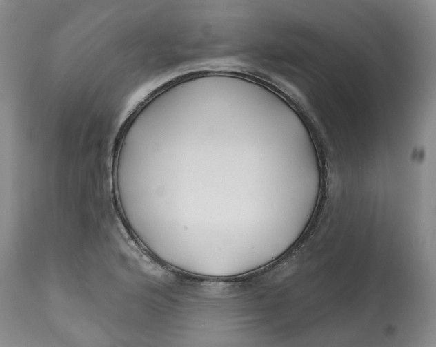 X0000112801176200909181529