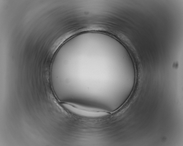 X0000112801177200909181529