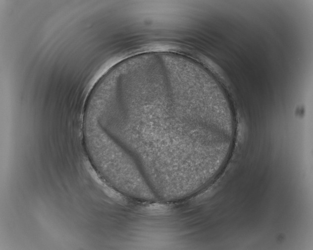 X0000112801178200909181529
