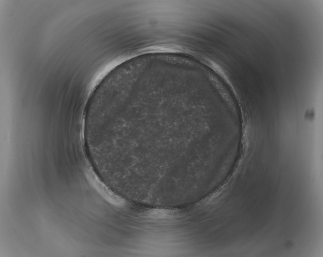 X0000112801179200909181529