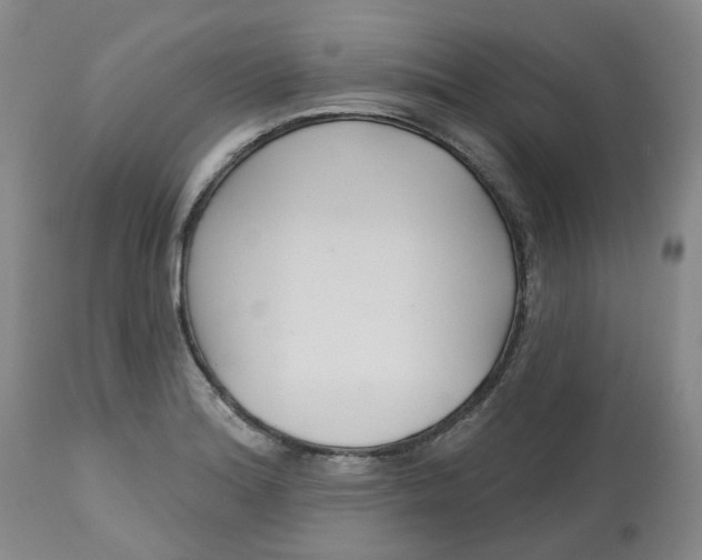 X0000112801180200909181529