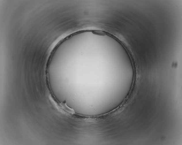 X0000112801181200909181529