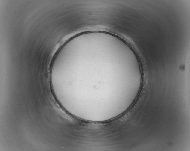 X0000112801184200909181529