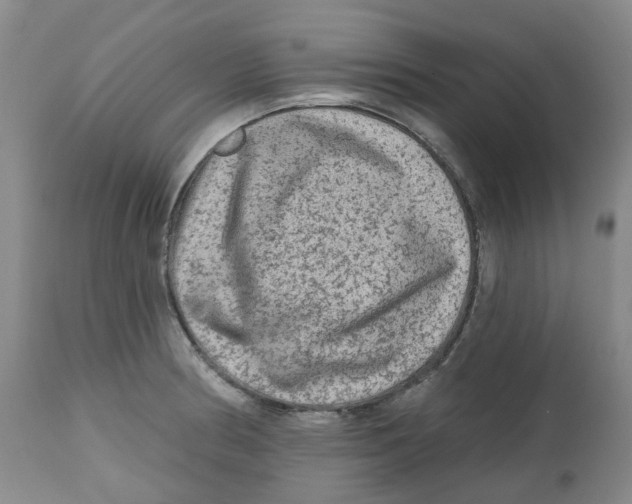X0000112801186200909181529