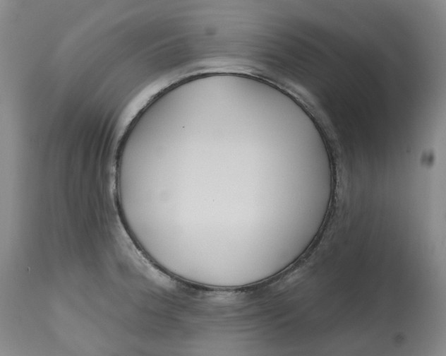 X0000112801188200909181529