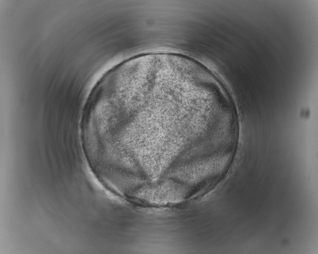 X0000112801189200909181529