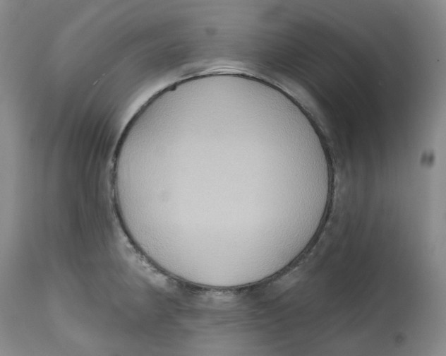 X0000112801190200909181529