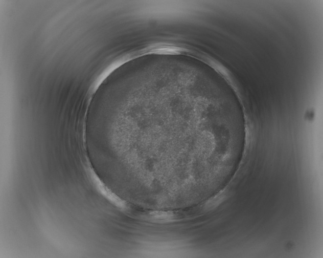 X0000112801194200909181529