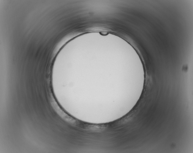 X0000112801195200909181529