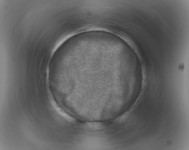 X0000112801198200909181529