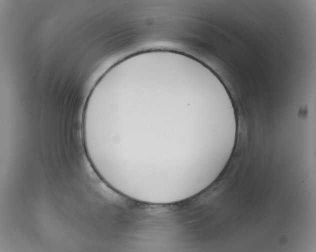 X0000112801199200909181529
