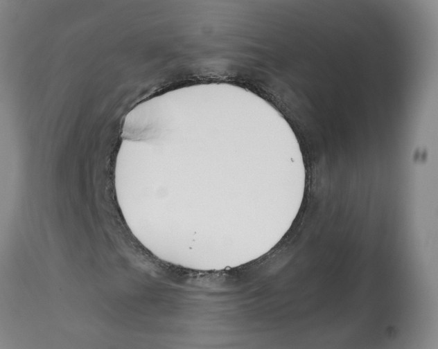 X0000112801201200909181528