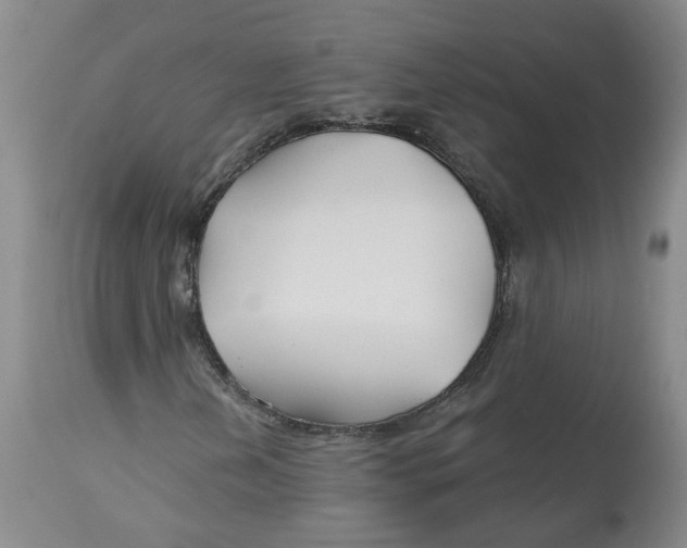 X0000112801202200909181528