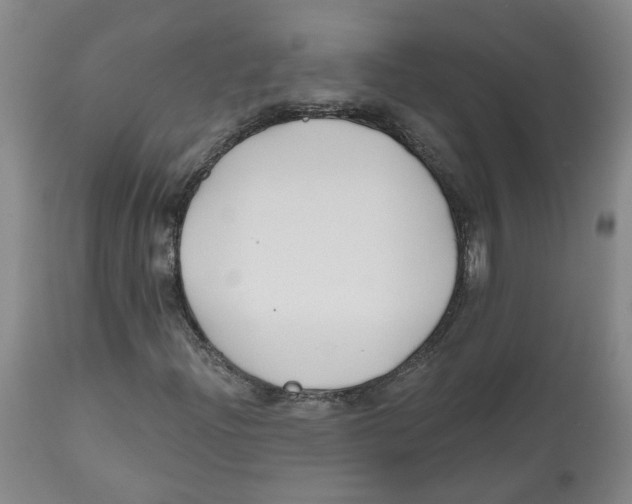 X0000112801204200909181528