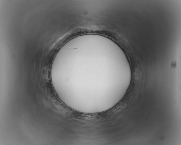 X0000112801205200909181528