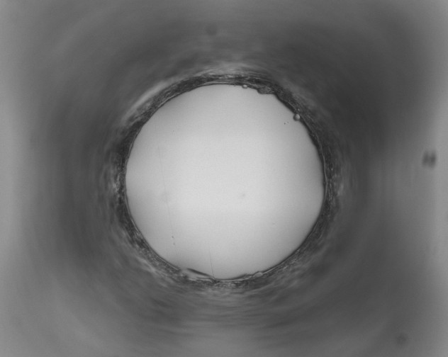 X0000112801206200909181528