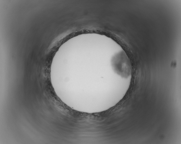 X0000112801207200909181528