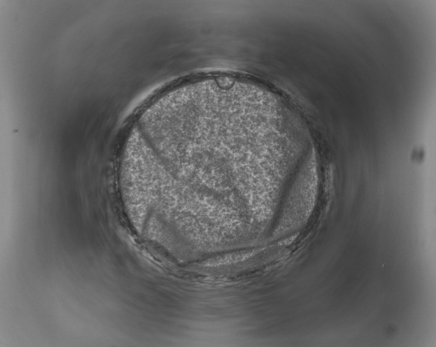 X0000112801208200909181528
